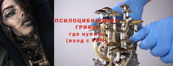 apvp Балабаново