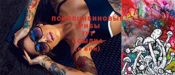 apvp Балабаново